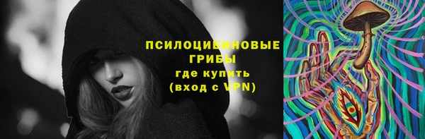 герыч Алексин