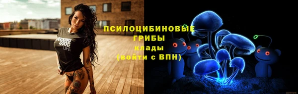 герыч Алексин