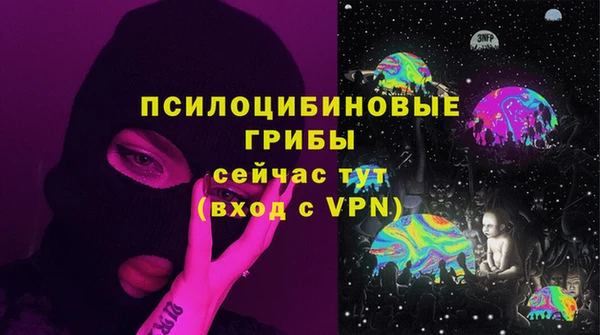 соль ск Алзамай
