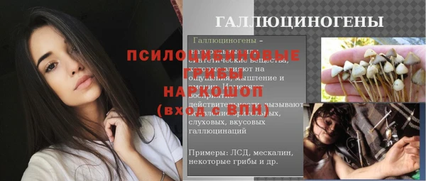 соль ск Алзамай