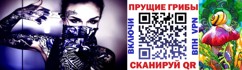 Псилоцибиновые грибы прущие грибы Киселёвск
